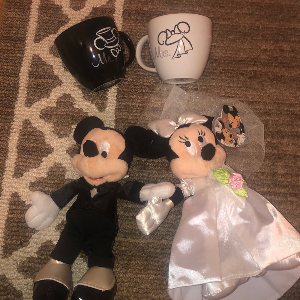 Disney parks wedding day set